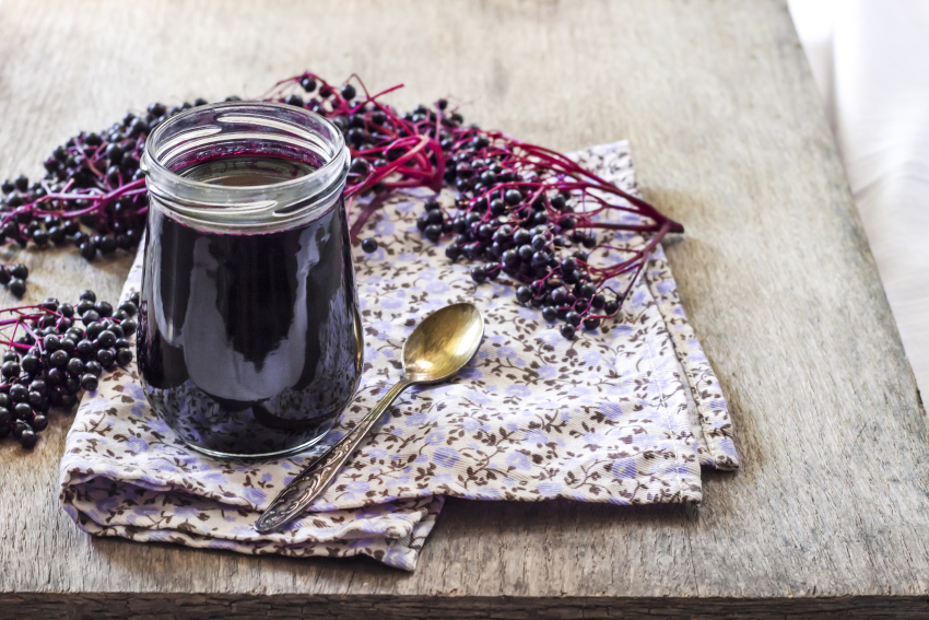syrop z czarnego bzu syrop z czarnego bzu