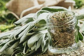 zioła, Podlaskie Ziółko Łukasz Mackiewicz, Hajnówka