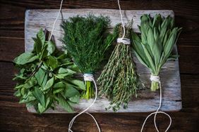 sprzedaż ziół, Podlaskie Ziółko Łukasz Mackiewicz, Hajnówka