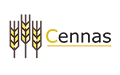 Cennas sp. z o.o., Grajewo