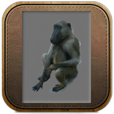 preparacja zwierząt, Marek Krajewski Pracownia preparowania zwierząt, Niewodnica Kościelna