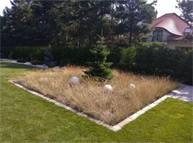 zakładanie ogrodu, Green Garden Aneta Kopczewska, Choroszcz