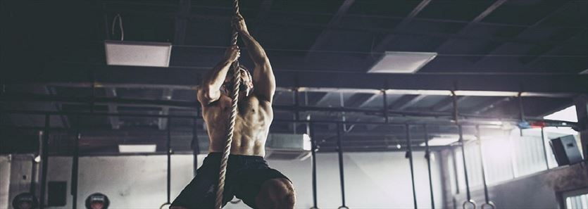 Zajęcia crossfit indywidualne i grupowe, Cfb Hendożko Zalewski Truchel Sp.j., Białystok