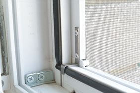 moskitiera, Jarmar Jarosław Lewandowski, Włocławek