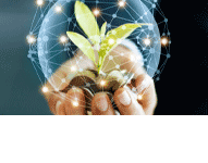 Ekoart Ochrona środowiska Przedsiębiorstwo wielobranżowe Artur Święczkowski