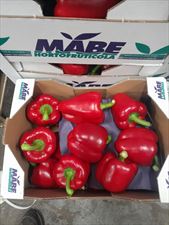 papryka, Sklep spożywczy Pelle & Lissa, Bydgoszcz