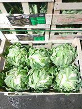 kapusta, Sklep spożywczy Pelle & Lissa, Bydgoszcz