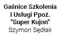 Gaśnice Szkolenia I Usługi Ppoż.