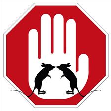 deratyzacja, Ecopest Wiesław Sroka, Włocławek