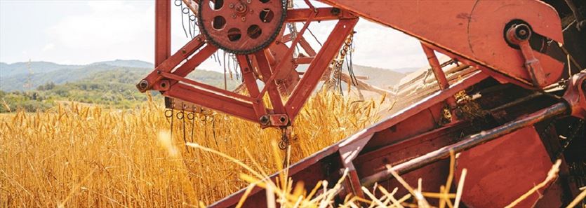 Zabytkowe maszyny rolnicze, pojazdy mechaniczne i konne, Fundacja Im. Janusza Borkowskiego Godne Życie Na Kujawach, Redecz Krukowy