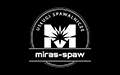 Usługi Spawalnicze Miras-Spaw Patryk Mirowski, Żnin