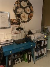 Biuro Rachunkowo-Księgowe Grace, Biuro Rachunkowo-Księgowe Grace Grażyna Zakrzewska, Toruń