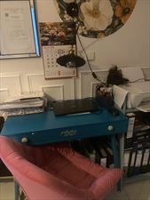 Biuro Rachunkowo-Księgowe Grace, Biuro Rachunkowo-Księgowe Grace Grażyna Zakrzewska, Toruń