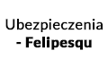 Ubezpieczenia - Felipesqu, Włocławek