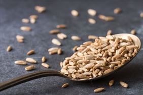 żyto, Centrala Nasienna sp. z o.o., Starogard Gdański