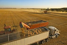 pasza, Firma Damian Ciemniewski Dc Damianex, Elbląg