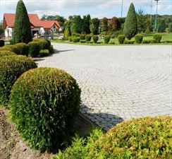 pielęgnacja ogrodów, Firma Usługowo - Ogrodnicza 