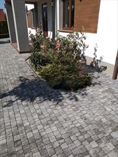 kostka brukowa, Remhol Uslugi brukarskie Roboty ziemne Wyburzenia i rozbiórki, Wejherowo