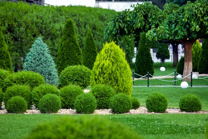 inwentaryzacja zieleni