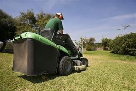 ogród, Bettiogrody.pl Beata Kleszczewska, Nowy Świat