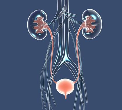 Uroginekologia