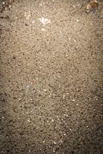 hurt chemii budowlanej, EL- Dla Budowy, Gniew