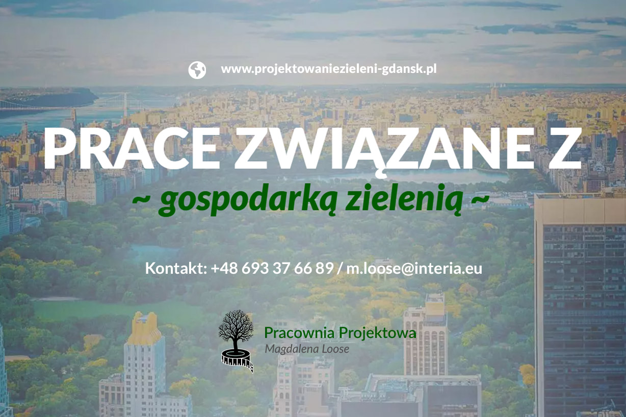 Projektowanie terenów zieleni, Magdalena Loose Pracownia projektowa, Gdańsk