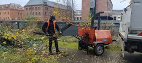 usługi leśne i ogrodnicze, Eco-Warm usługi leśne i ogrodnicze, Gdańsk