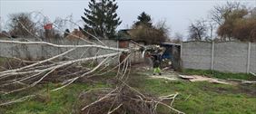 usługi leśne i ogrodnicze, Eco-Warm usługi leśne i ogrodnicze, Gdańsk
