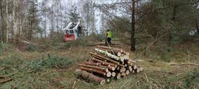 usługi leśne i ogrodnicze, Eco-Warm usługi leśne i ogrodnicze, Gdańsk