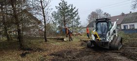 usługi leśne i ogrodnicze, Eco-Warm usługi leśne i ogrodnicze, Gdańsk