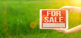 sprzedaż działek, Natalia Kopecka Spectrum Nieruchomości, Nowa Wieś Malborska