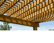 Almak Paweł Piepiórka