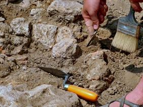 usługi archeologiczne, Detekt Maciej Stromski Sp. z o. o., Gdańsk