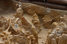 nadzór archeologiczny, Detekt Maciej Stromski Sp. z o. o., Gdańsk
