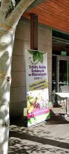 szkółka roślin, Szkółka Roślin Ozdobnych DAMMERA, Mierzeszyn
