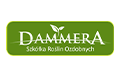 Szkółka Roślin Ozdobnych DAMMERA, Mierzeszyn