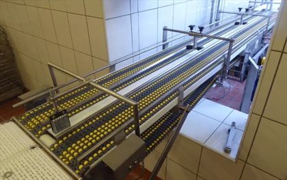 Przenośniki do Pakowarek