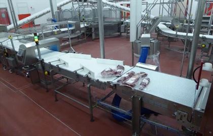 Przenośniki Preform