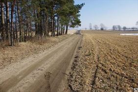 wycena gruntów, Roman Aleksander Korolko Wycena nieruchomości Rzeczoznawca majątkowy, Gdynia