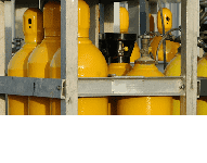 Henkas Pawluś Henryk