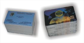 wizytówki, Grafis, Gliwice