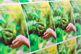 Kolorowe etykiety samoprzylepne na produkty ekologiczne i ogrodnicze, Vip Drukarnia Cyfrowa Marek Małysz, Ustroń