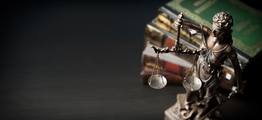 przyjazna Adwokaci, Ewa Czarnynoga-Willim Kancelaria adwokacka, Mysłowice