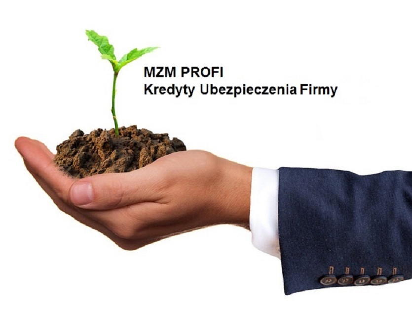 przyjazna Finansowanie, kredyty, lokaty, Mzm Profi Marek Zieliński, Racibórz