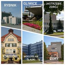 zakłady, Pro Feminae s.c. NZOZ Opieka Położniczo-Pielęgniarska, Rybnik