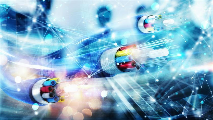 Bezpieczeństwo w firmach, B-Secure Bezpieczeństwo Biznesu, Świnna