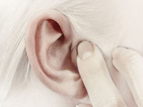 laryngolog, Henryk Kowolik Otolaryngolog, Rybnik