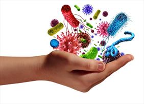 pacjent, Specjalistyczna Praktyka Lekarska dr n. med. Danuta Jakubowska-Kowalska, Bytom