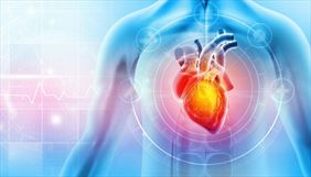 serce, Specjalistyczna Praktyka Lekarska dr n. med. Danuta Jakubowska-Kowalska, Bytom